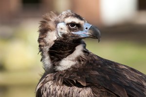 comp_IMG_6825 Kopie.jpg