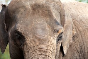 comp_IMG_6875 Kopie.jpg