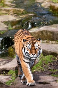 comp_IMG_6899 Kopie.jpg