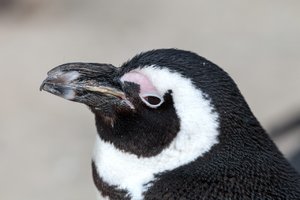 comp_IMG_6983 Kopie.jpg