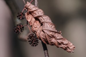 123 (1 von 4) (Kopie).jpg