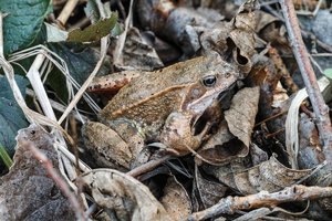 123 (3 von 4) (Kopie).jpg