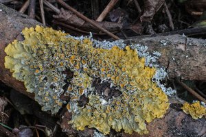 123 (4 von 4) (Kopie).jpg