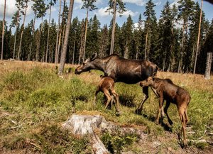 IMG_9050 - Arbeitskopie 2.jpg