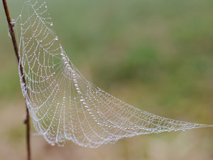 Für Fotoforum (43 von 5).jpg