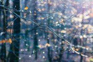 Für Fotoforum (44 von 5).jpg