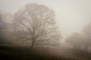 Für Fotoforum (45 von 5).jpg