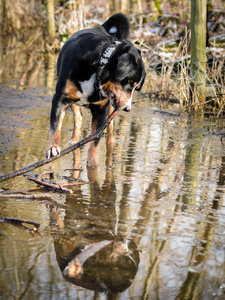 Für Fotoforum (47 von 5).jpg