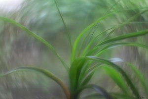 500k_IMG_2775.jpg 500k_IMG_2775.jpg