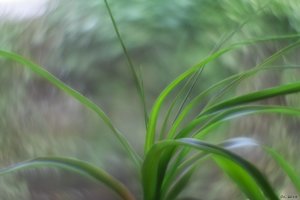 500k_IMG_2776.jpg 500k_IMG_2776.jpg