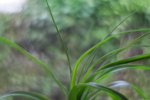 500k_IMG_2777.jpg 500k_IMG_2777.jpg