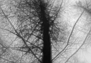 500k_IMG_2789-2.jpg 500k_IMG_2789-2.jpg