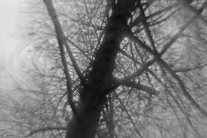 500k_IMG_2794-2.jpg 500k_IMG_2794-2.jpg