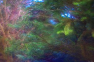 500k_IMG_2788.jpg 500k_IMG_2788.jpg