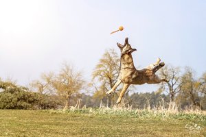 comp__MG_0899-Bearbeitet.jpg comp__MG_0899-Bearbeitet.jpg