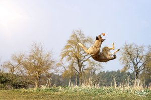 comp__MG_0903-Bearbeitet.jpg comp__MG_0903-Bearbeitet.jpg