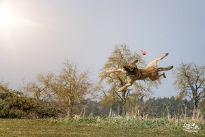 comp__MG_0904-Bearbeitet.jpg comp__MG_0904-Bearbeitet.jpg