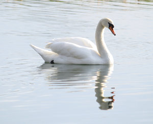 IMG_8505cklein.jpg IMG_8505cklein.jpg