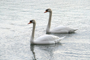 IMG_8652cklein.jpg IMG_8652cklein.jpg