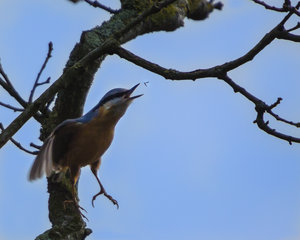 HY0A2790-2.jpg HY0A2790-2.jpg