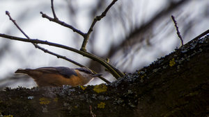 HY0A2312.jpg HY0A2312.jpg