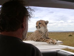 kater-i-825.jpg kater-i-825.jpg