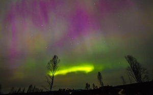 IMG_3747 - Arbeitskopie 2.jpg