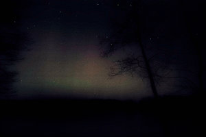 SDIM0039.jpg SDIM0039.jpg