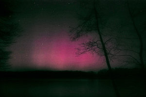 SDIM0040.jpg SDIM0040.jpg