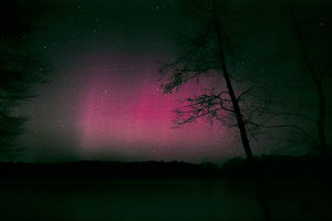 SDIM0041.jpg SDIM0041.jpg