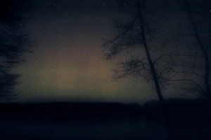 SDIM0043.jpg SDIM0043.jpg