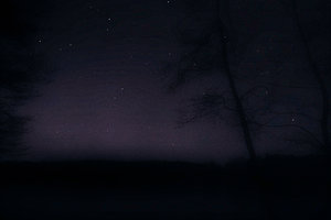 SDIM0046.jpg SDIM0046.jpg