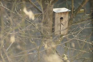 000183-CZJ-kipronar 1.jpg