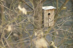 000185-CZJ-kipronar 1.jpg