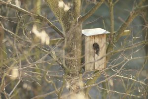 000186-CZJ-kipronar 1.jpg