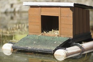 000193-CZJ-kipronar 1.jpg