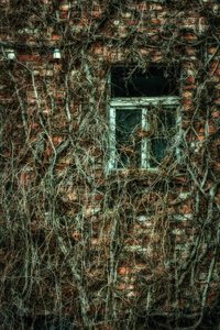 D71_6408_09_10-Bearbeitet.jpg D71_6408_09_10-Bearbeitet.jpg