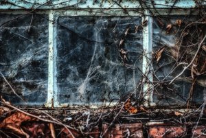 D71_6553_4_5_6_7-Bearbeitet.jpg D71_6553_4_5_6_7-Bearbeitet.jpg