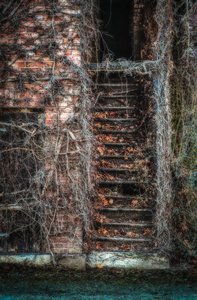 D71_6496_497_498_499_500-Bearbeitet.jpg D71_6496_497_498_499_500-Bearbeitet.jpg