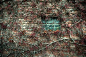 D72_3157_58_59_60-Bearbeitet.jpg D72_3157_58_59_60-Bearbeitet.jpg