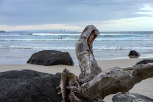 1024_300_Greenmount Treibholz.jpg