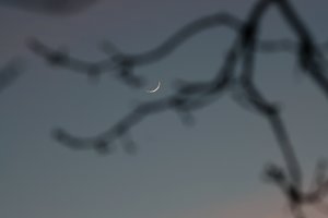 Forum DSC09225 Nex 5rn + Jupiter 37A 3,5 135mm (c) PPf.jpg