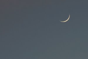 Forum DSC09227 Nex 5rn + Jupiter 37A 3,5 135mm_cr (c) PPf.jpg