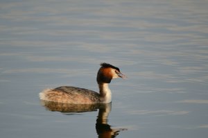 comp_DSC_3387.jpg comp_DSC_3387.jpg