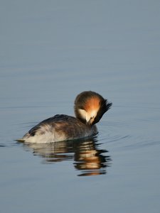 comp_DSC_3426.jpg comp_DSC_3426.jpg