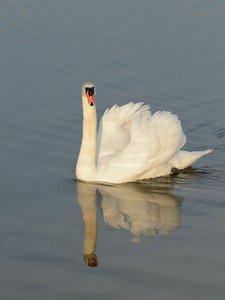 comp_DSC_3446.jpg comp_DSC_3446.jpg