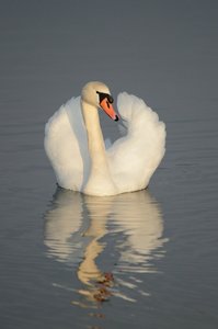 comp_DSC_3453.jpg comp_DSC_3453.jpg