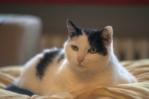 comp_IMG_8692.jpg comp_IMG_8692.jpg