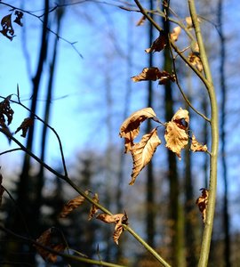 1_DSCF0031.jpg 1_DSCF0031.jpg