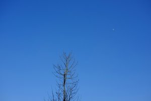 1_DSCF0034.jpg 1_DSCF0034.jpg